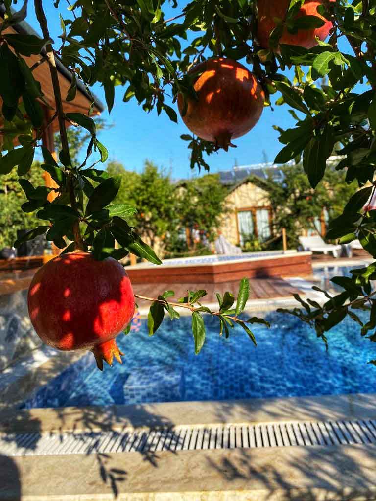 Olympos Nar Stone House