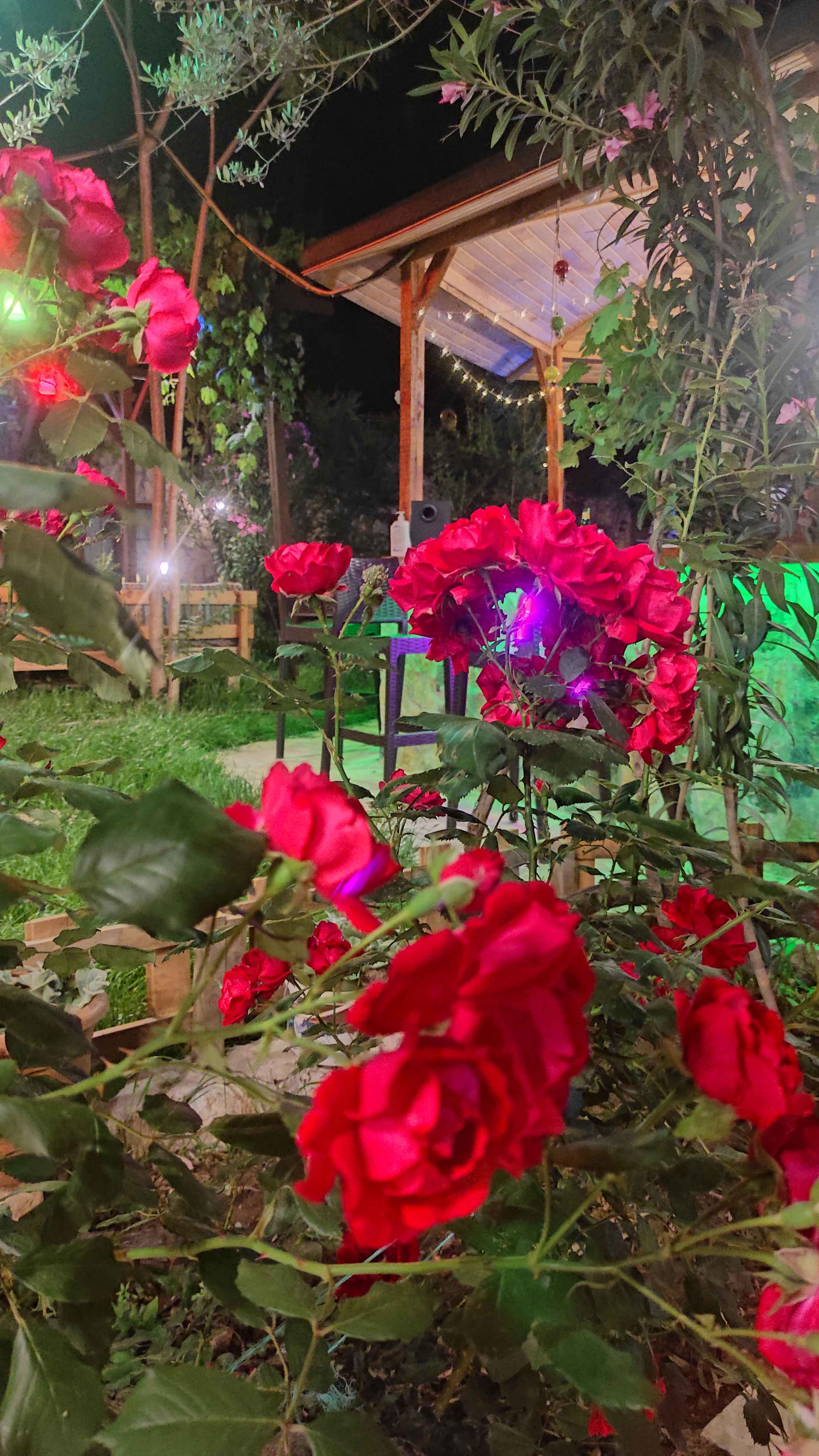 Olympos Nar Stone House