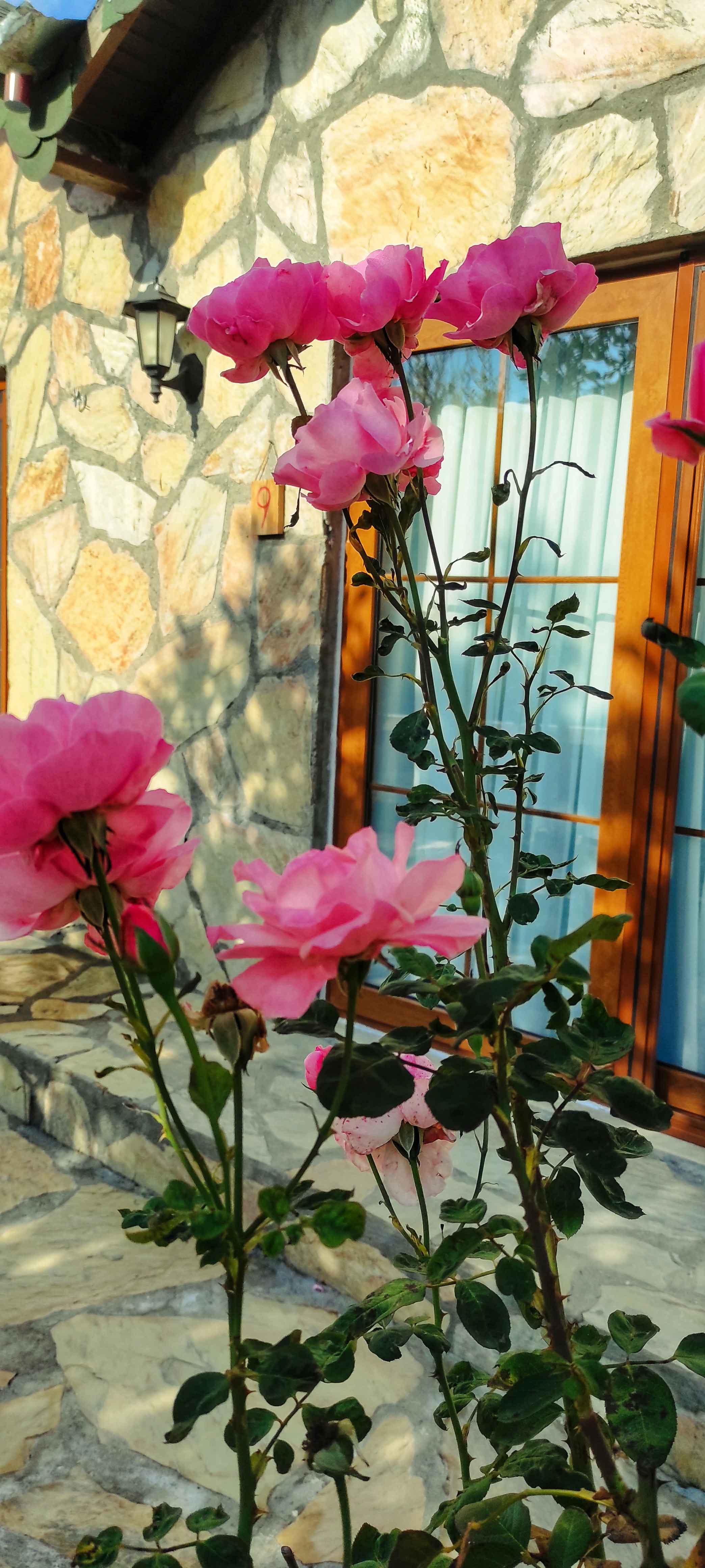 Olympos Nar Stone House