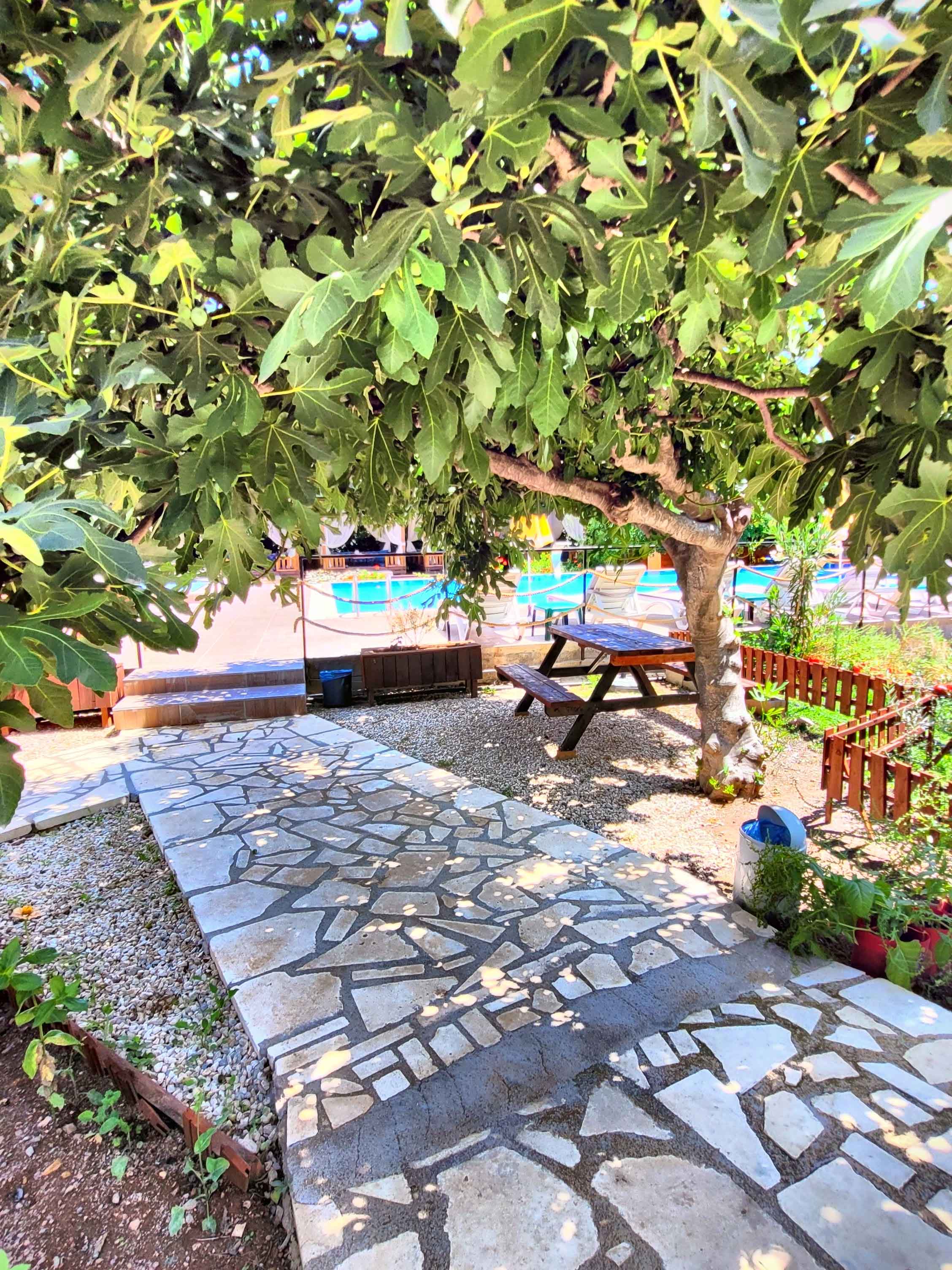 Olympos Nar Stone House